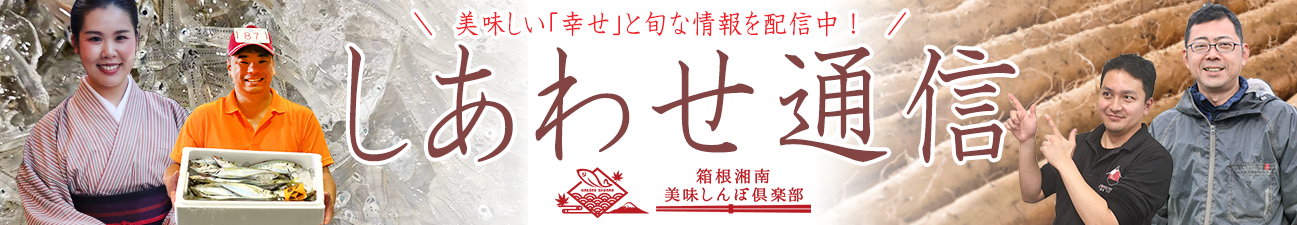 夏のご挨拶 暑中見舞いと残暑見舞いの違いとは 箱根湘南美味しんぼ倶楽部ブログ